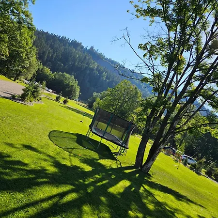 Litworowy Staw Białka Tatrzańska