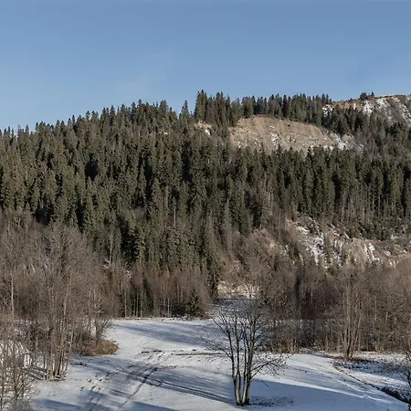 Ξενοδοχείο με διαμερίσματα Litworowy Staw